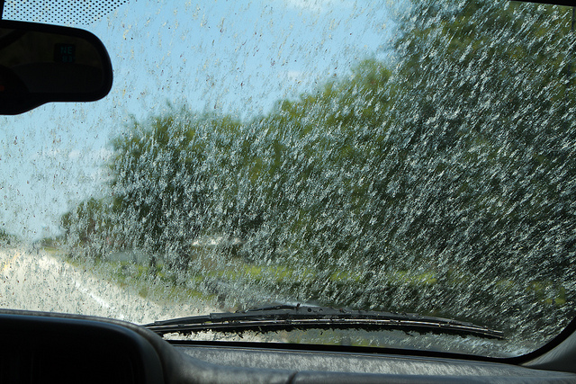 Clean Love Bugs From RV Windshield